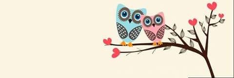 Srita_Dreams's profile banner image