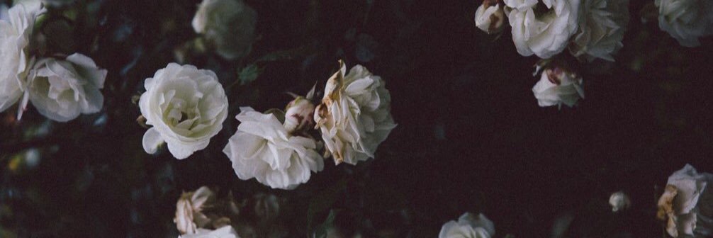 tortillavic_'s profile banner image