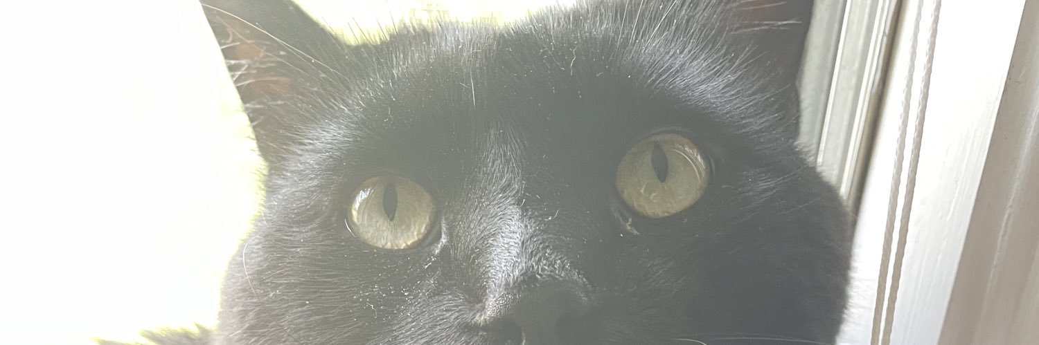 Down Bad Peter banner