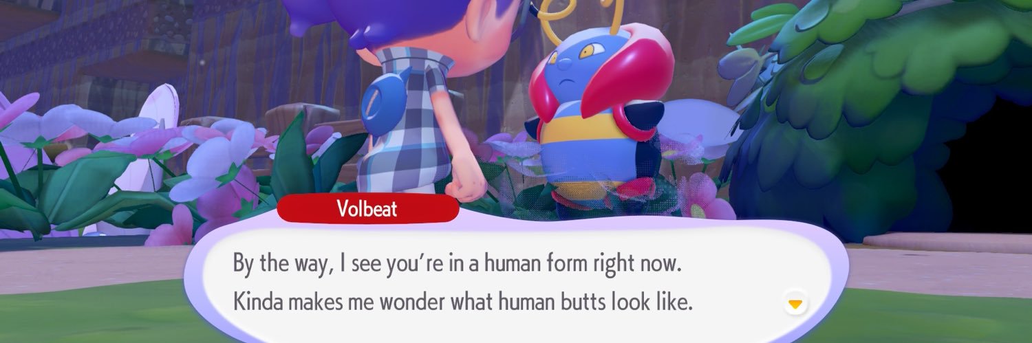 bugcatcherkate's profile banner image