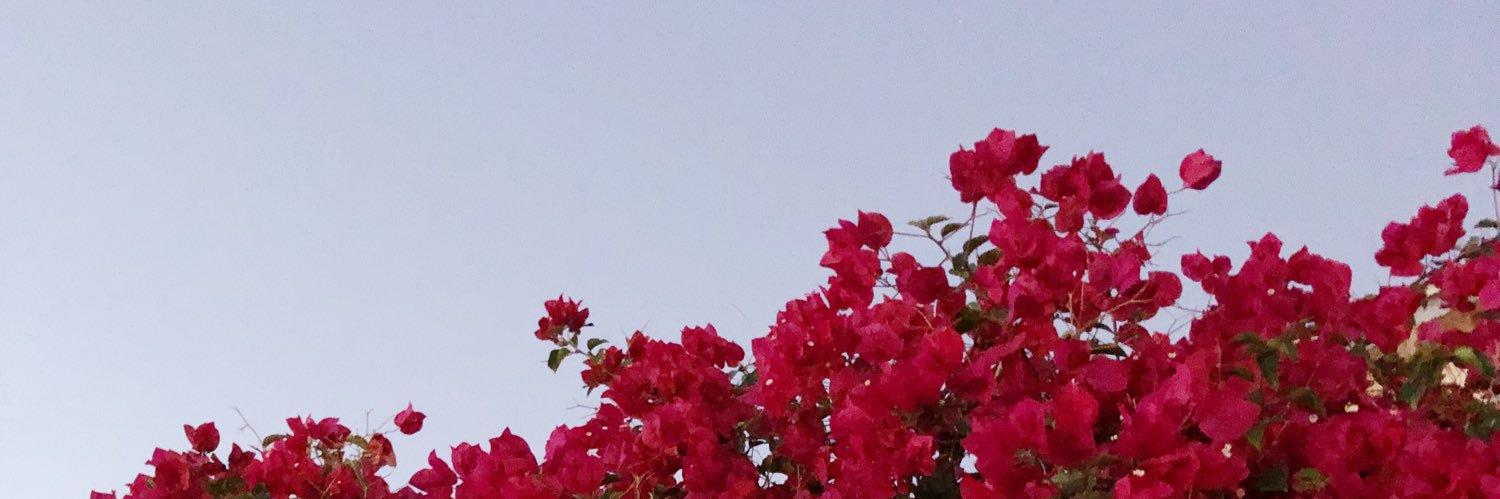 kamrynmckee's profile banner image