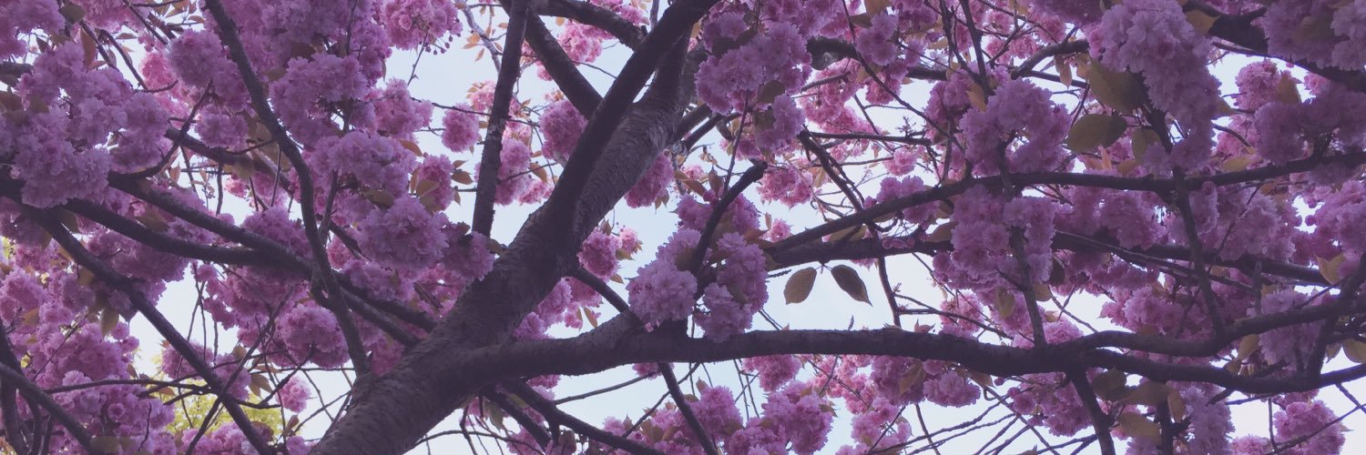 LienAspie's profile banner image