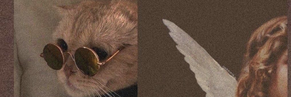 CarolineHill19's profile banner image