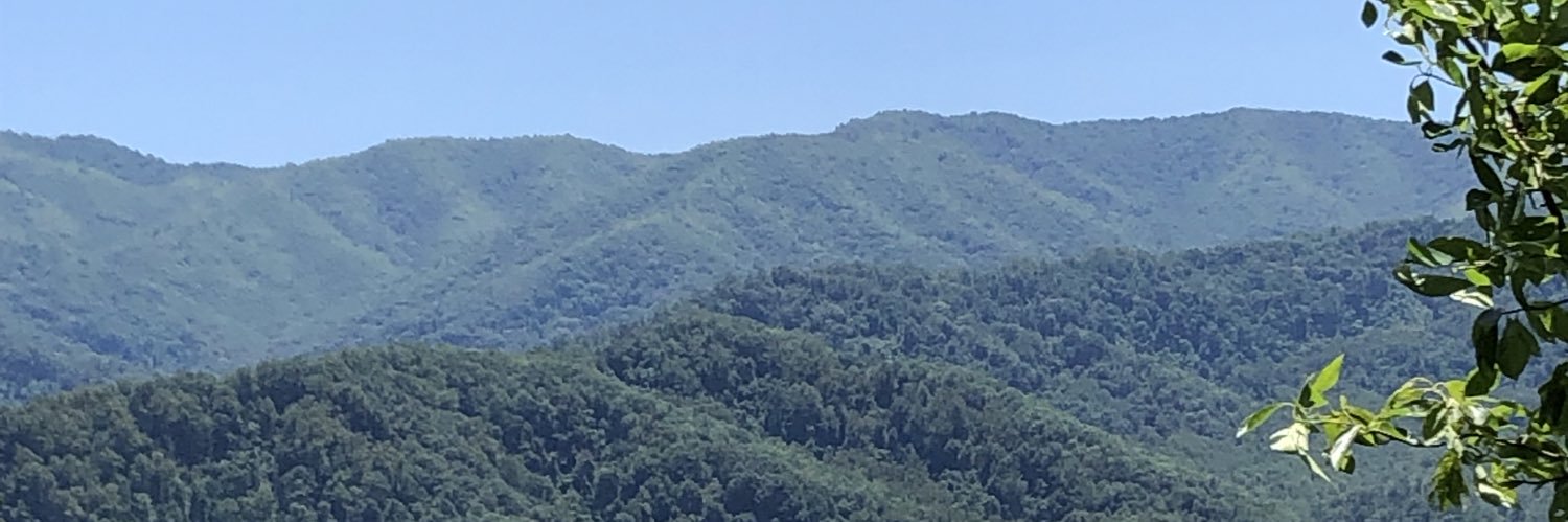 ayeitselly's profile banner image