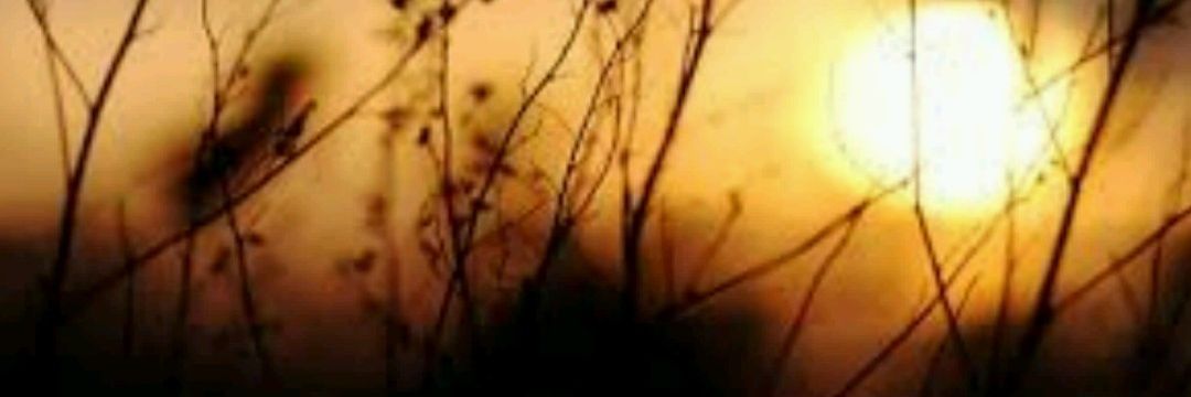 ra_veeraa's profile banner image