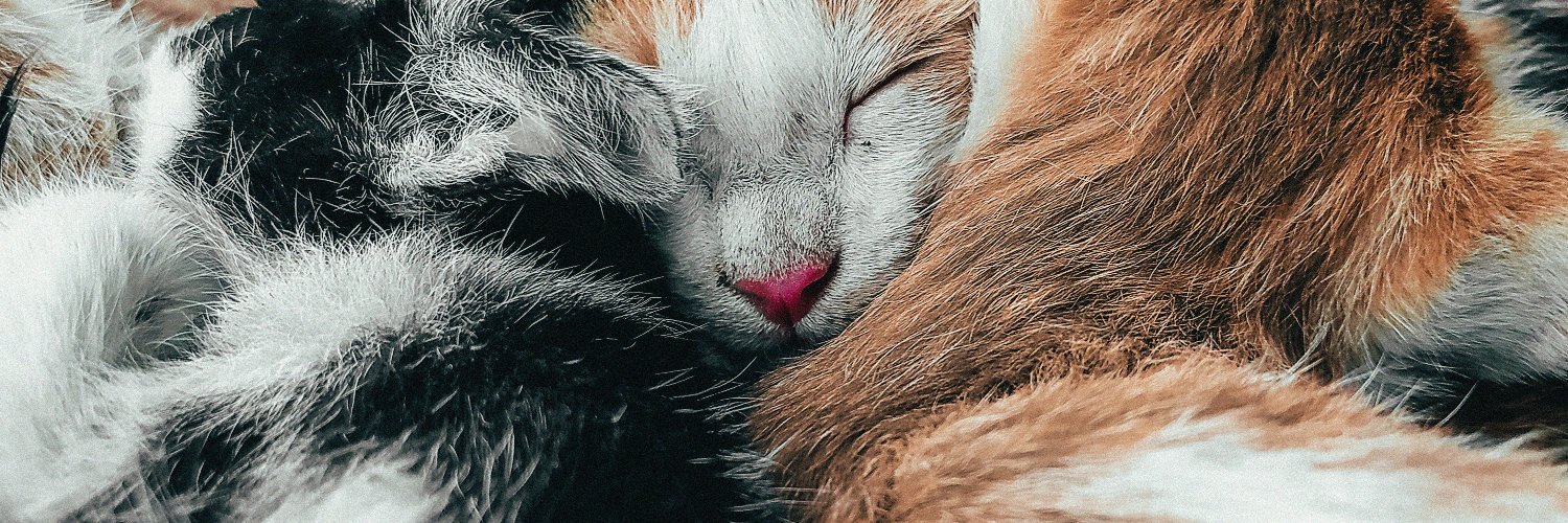 NECKZER's profile banner image