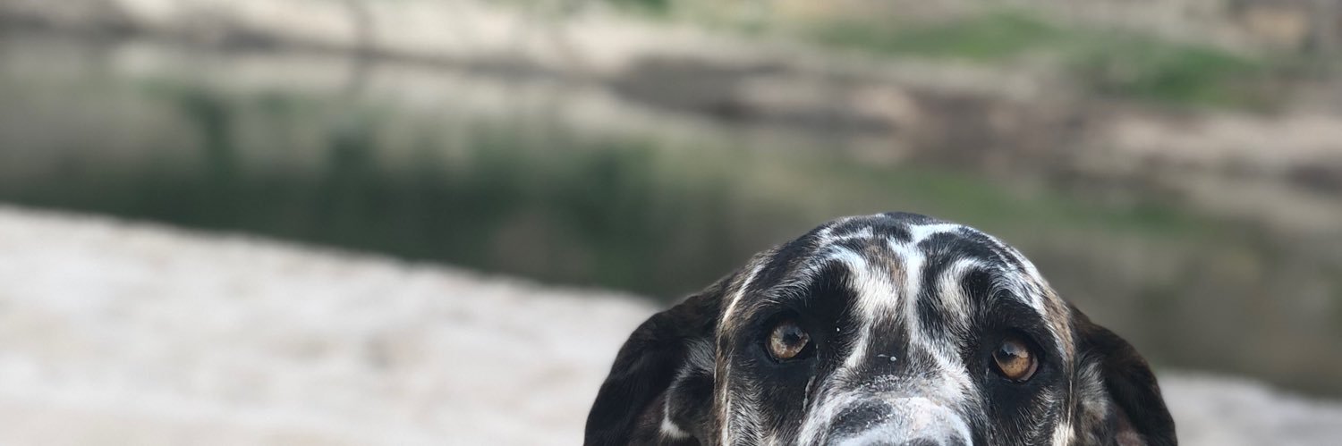 Joseyreann's profile banner image