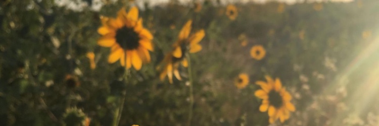 Mbollingerr's profile banner image