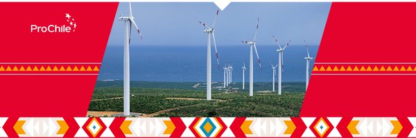 prochileco Profile Banner