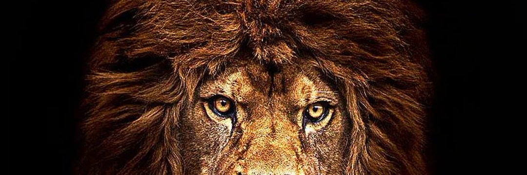 LuisMo_07's profile banner image