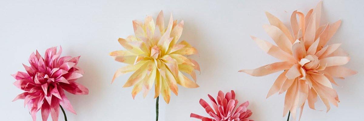 donielletaylorr's profile banner image