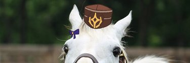 FooleyLegend's profile banner image