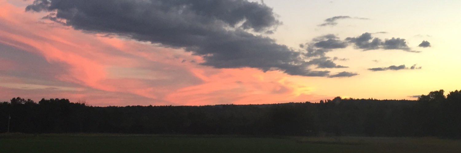 NicoleBaran22's profile banner image