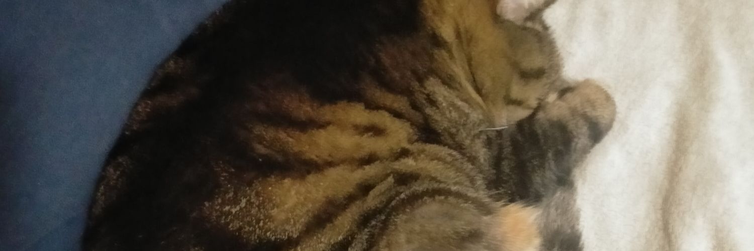 Alex and Charlie banner