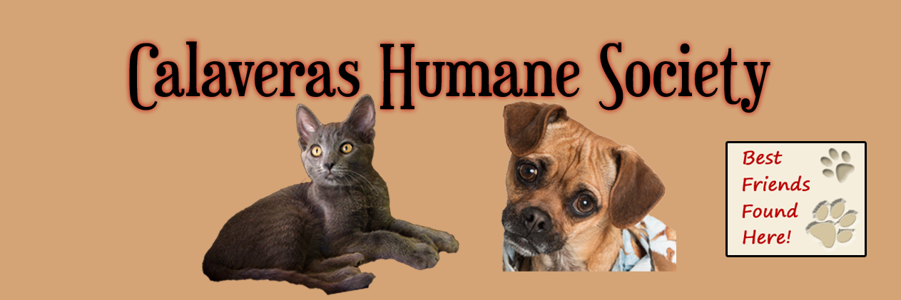CalaverasHumane's profile banner image
