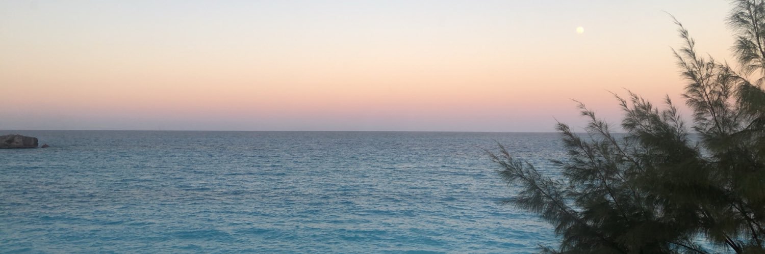 shelbybebee's profile banner image