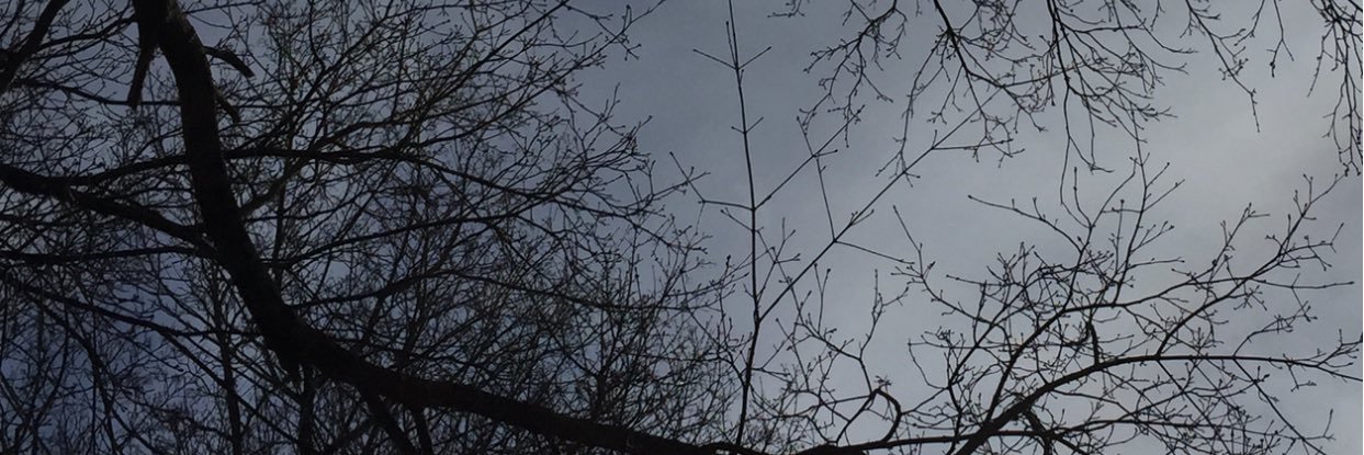 Maddy2397's profile banner image