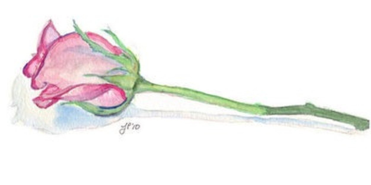 auristela_m's profile banner image