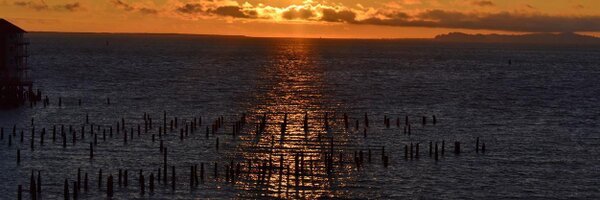 EricOpperman Profile Banner