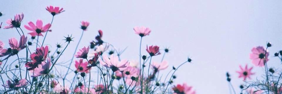 bri_madds's profile banner image