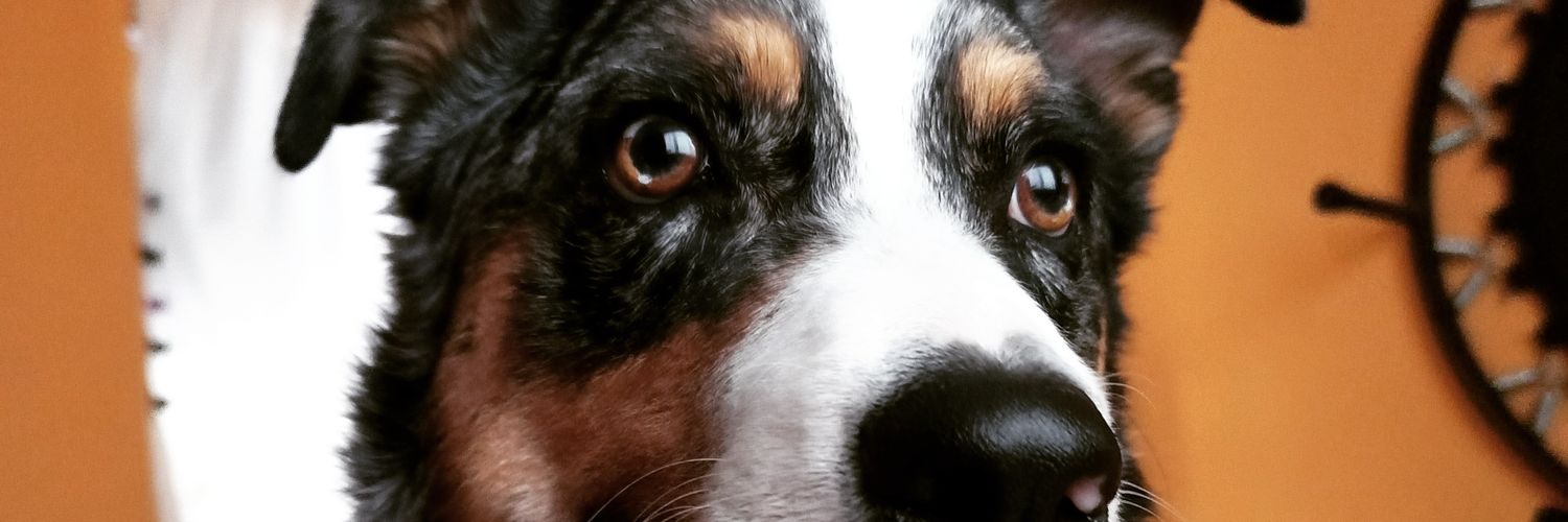 DiegoDi97's profile banner image