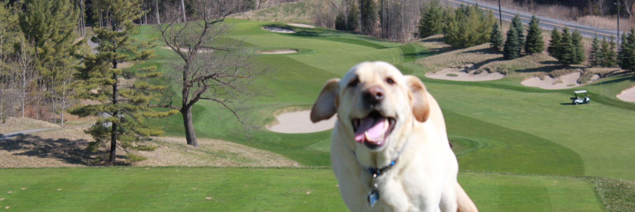 Jason Crawford banner