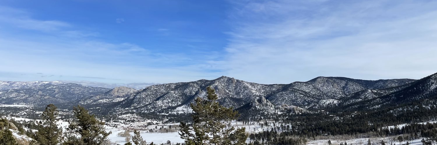 thelisaweber's profile banner image