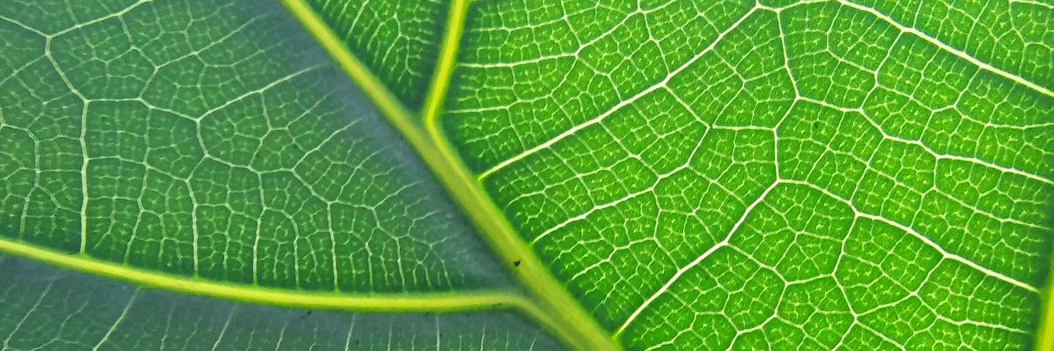 KaylinGee's profile banner image