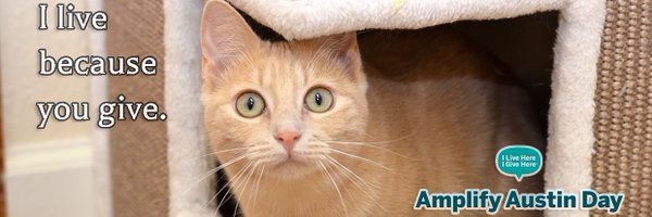 ShadowCatsTexas Profile Banner