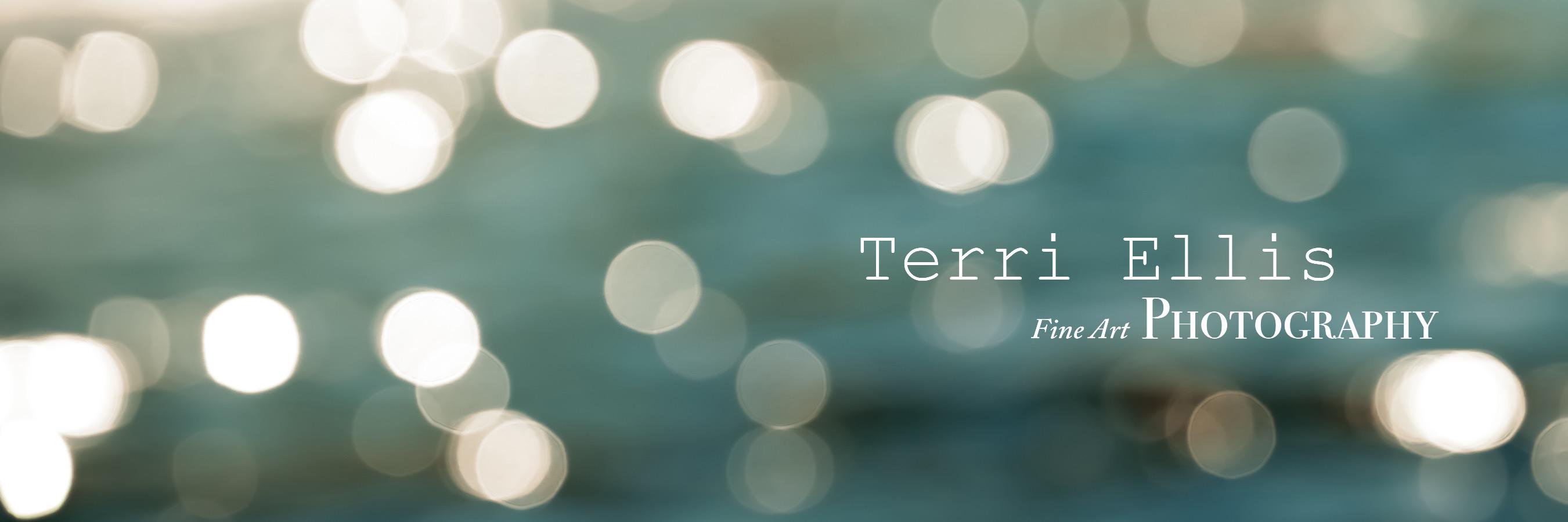 TerriEllisDsgn's profile banner image