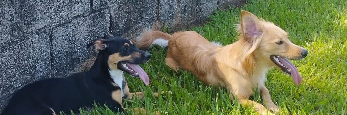 vicamargoo_'s profile banner image