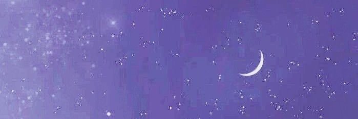 disc0pixie's profile banner image