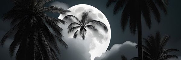 gems_shark Profile Banner