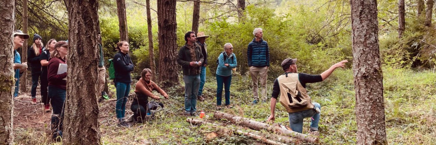 NNRGforests's profile banner image