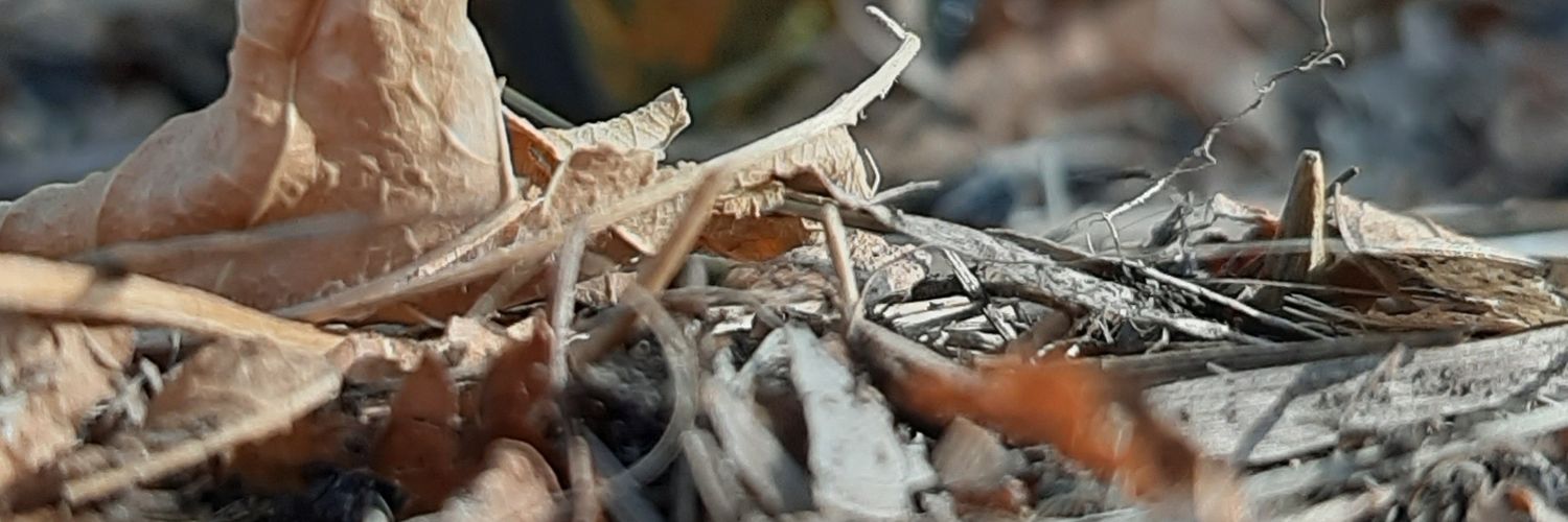 DeniseFatur's profile banner image