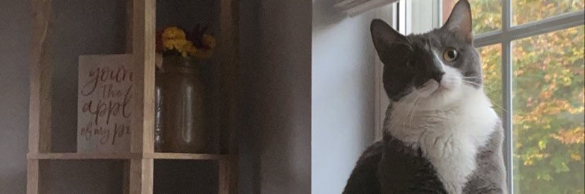 kaylyn_long's profile banner image