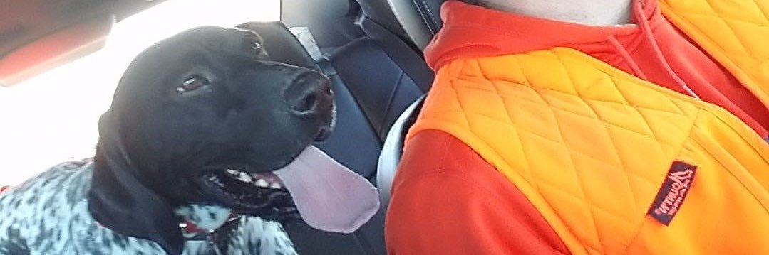 beef__stew's profile banner image