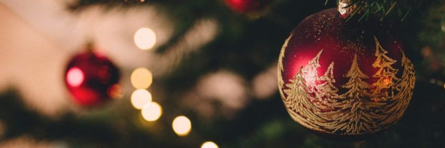 emily_desantis's profile banner image