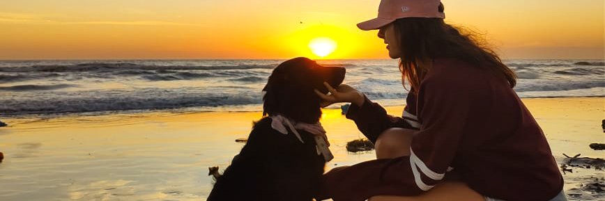 wannievas's profile banner image