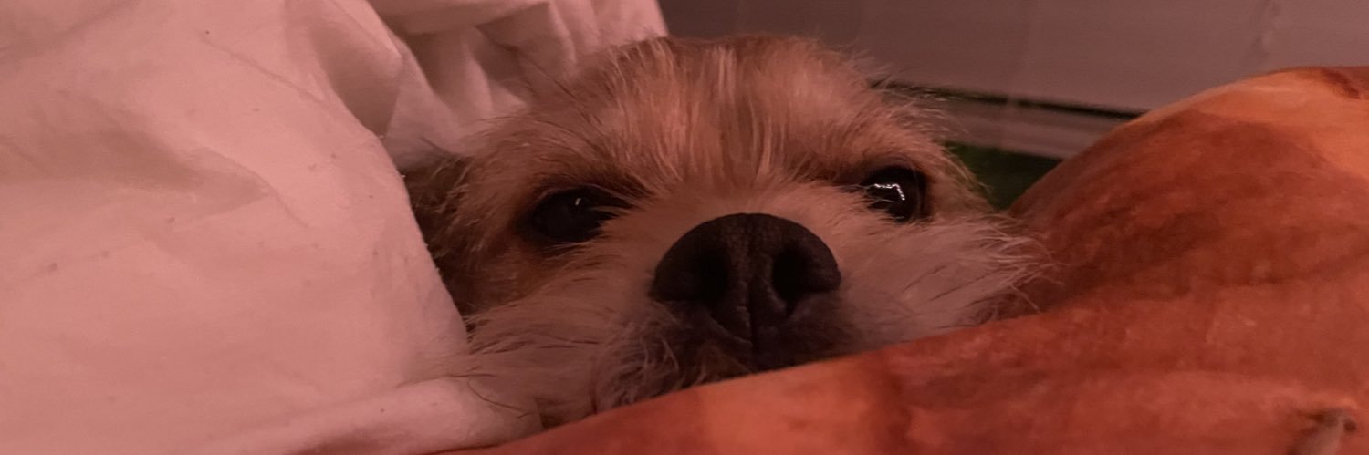 moldykiwi's profile banner image