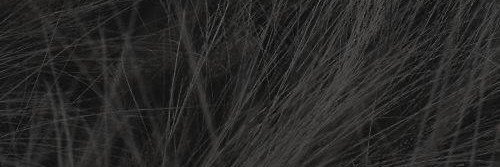 99Q96's profile banner image