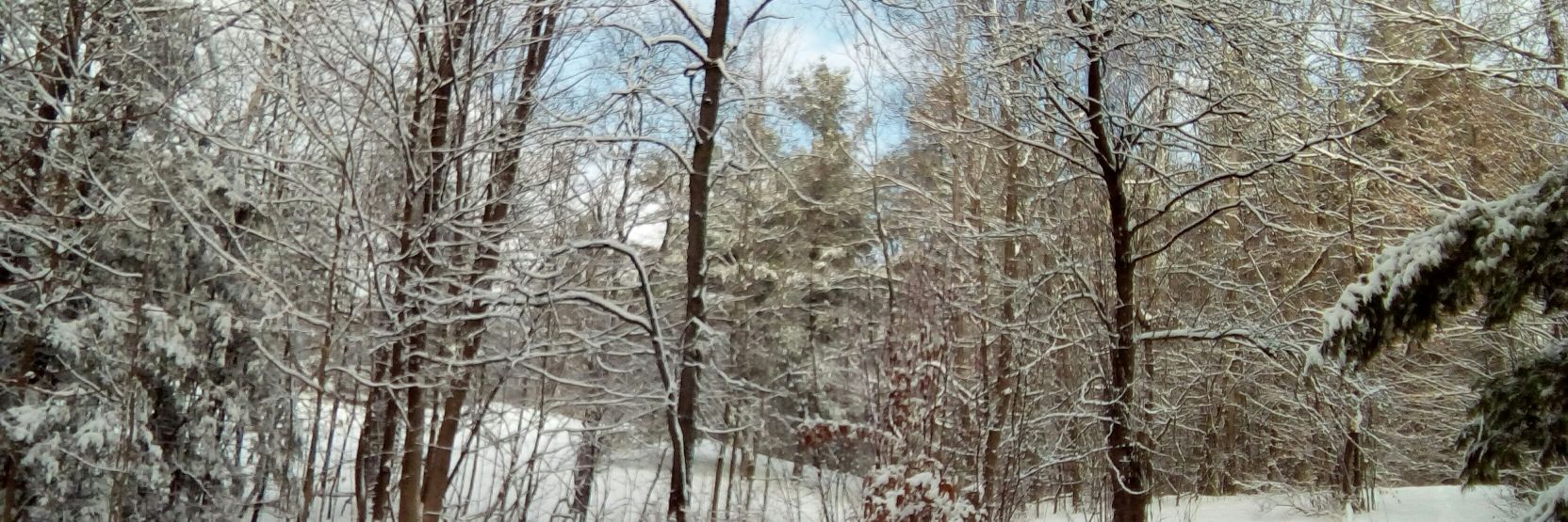 seanc_d's profile banner image