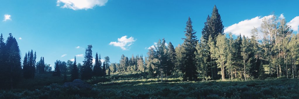 jojen1723's profile banner image