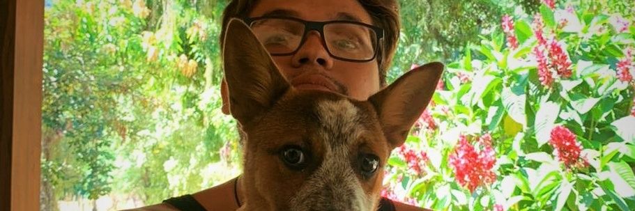 thiagocalfa's profile banner image