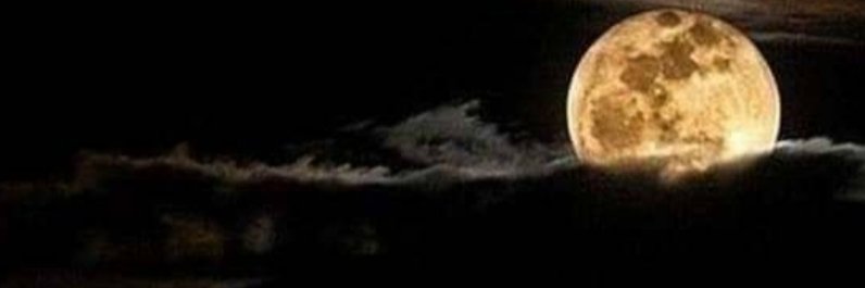 sidcardozzo's profile banner image