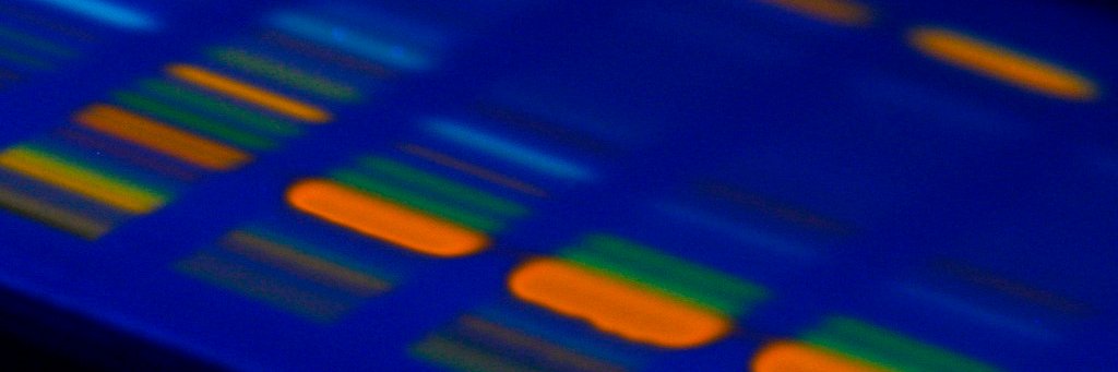 Hector_OFF's profile banner image