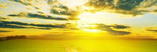 NAGWANLM's profile banner image