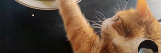 BCaligan's profile banner image
