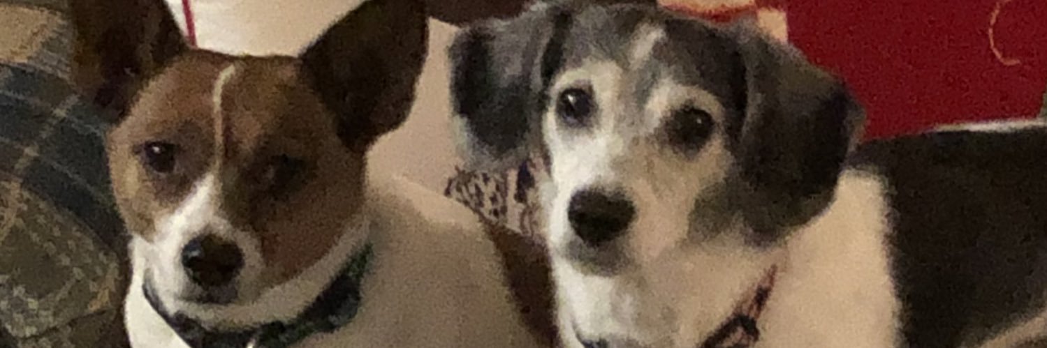 Jenn_Bufkin's profile banner image
