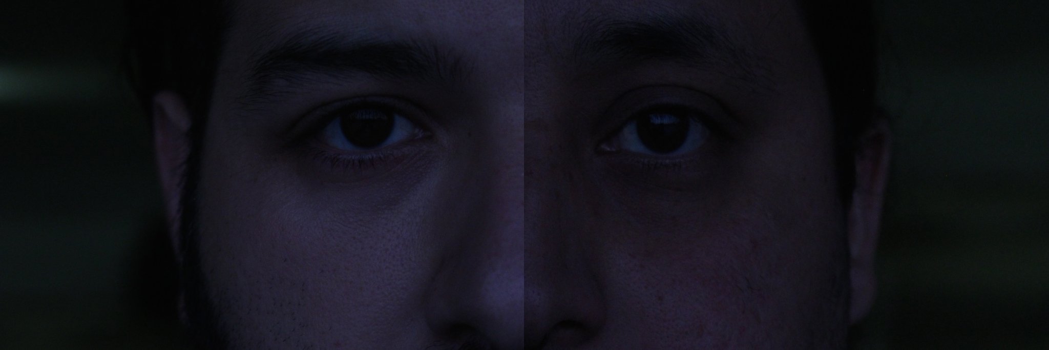 birdandthewar's profile banner image